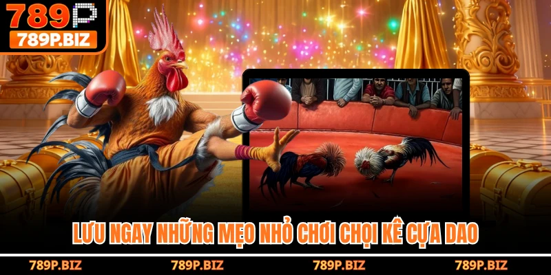 Lưu ngay những mẹo nhỏ chơi chọi kê cựa dao